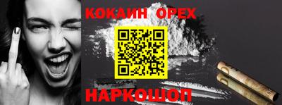 прущие грибы Можга