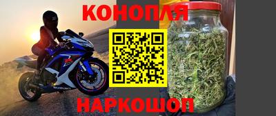 прущие грибы Можга