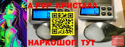 прущие грибы Можга