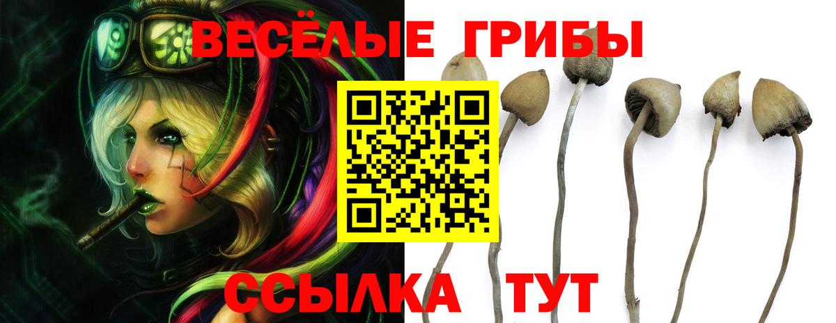 Галлюциногенные грибы прущие грибы  Вход с VPN  Пушкино 